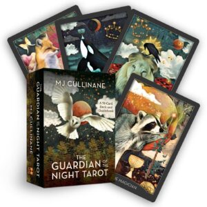 Guardian of the night Front Box cover