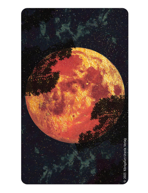 Amber Moon Tarot - Image 10