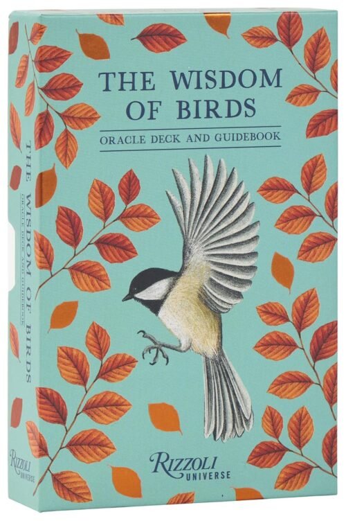 Wisdom of Birds Box Wisdom of Birds Box