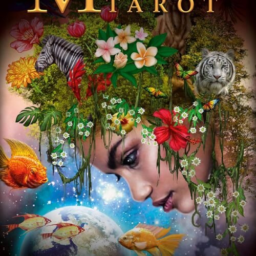 Marchetti Tarot Deck Box Cover Marchetti Tarot