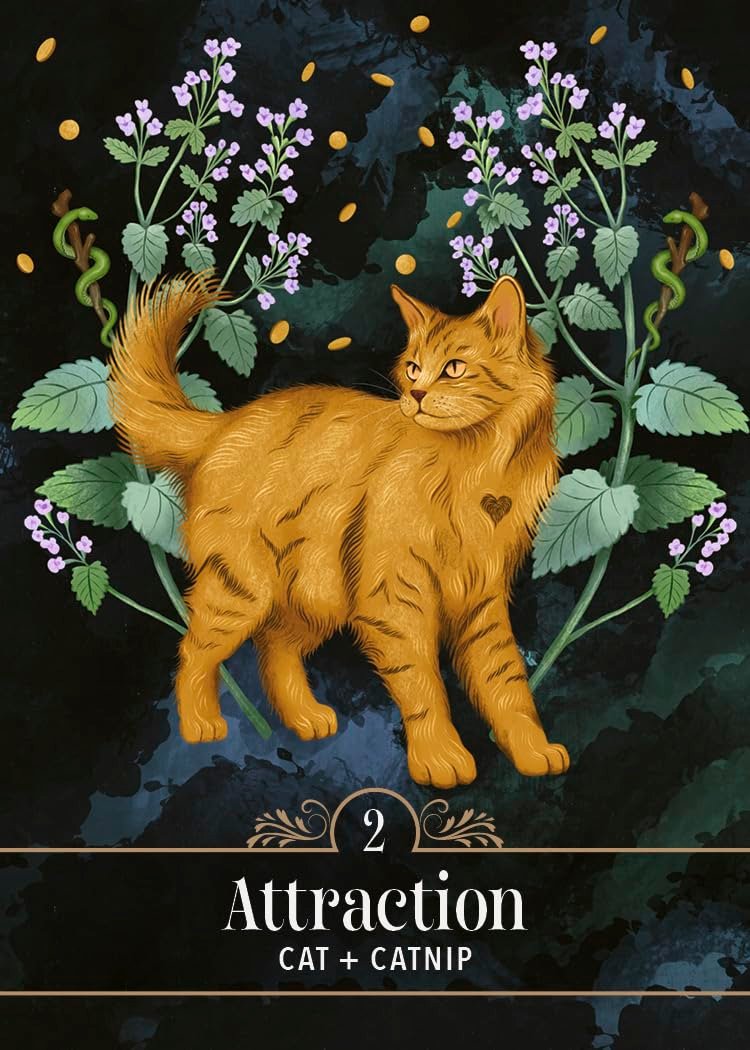Familiar Magic Pocket Oracle - Image 4