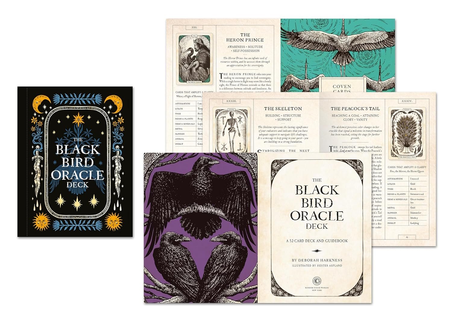 Black Bird Oracle Deck - Image 10