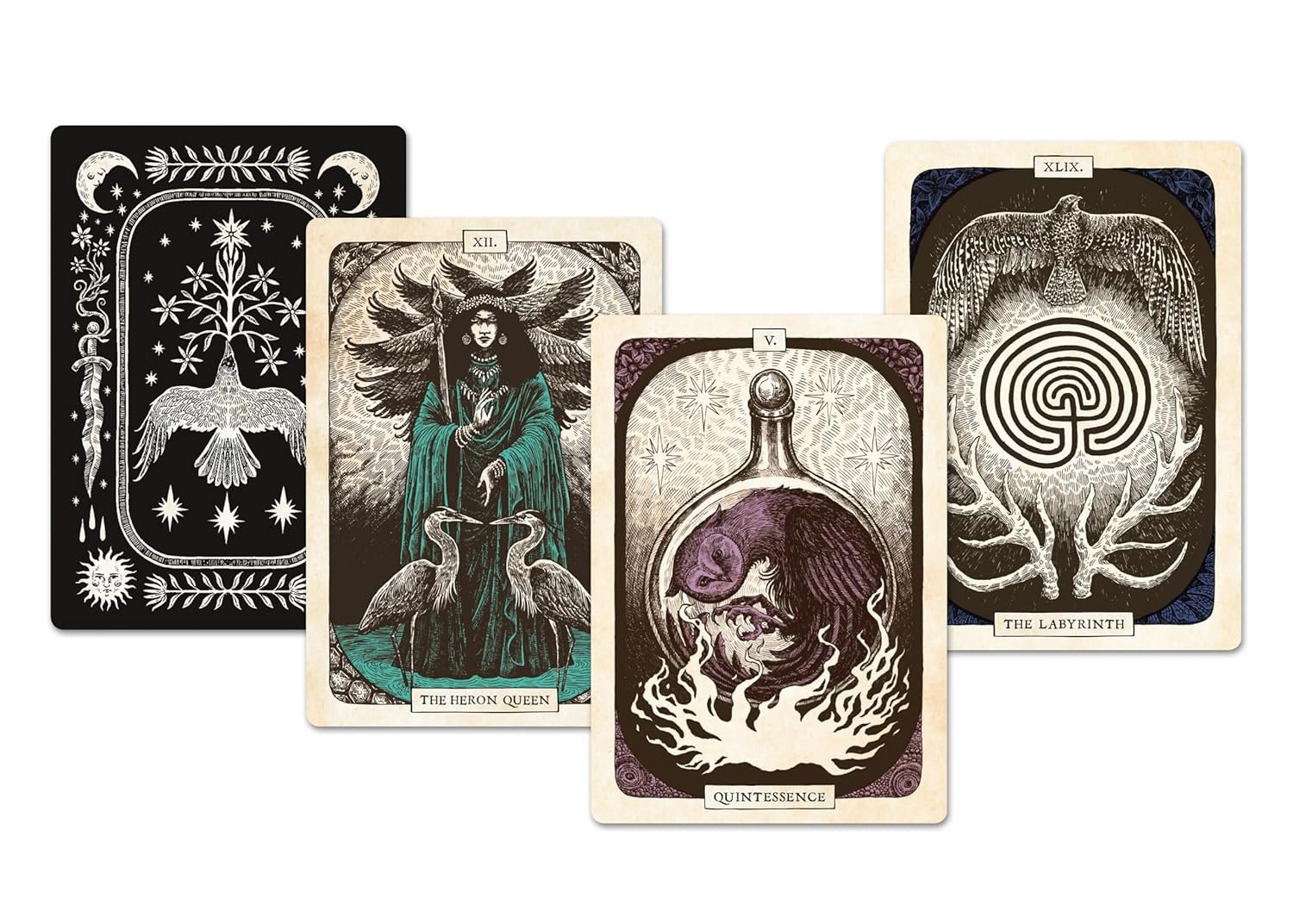 Black Bird Oracle Deck - Image 9
