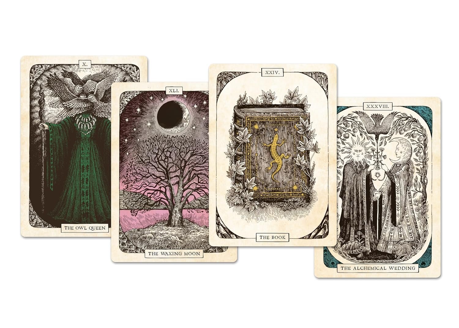 Black Bird Oracle Deck - Image 7