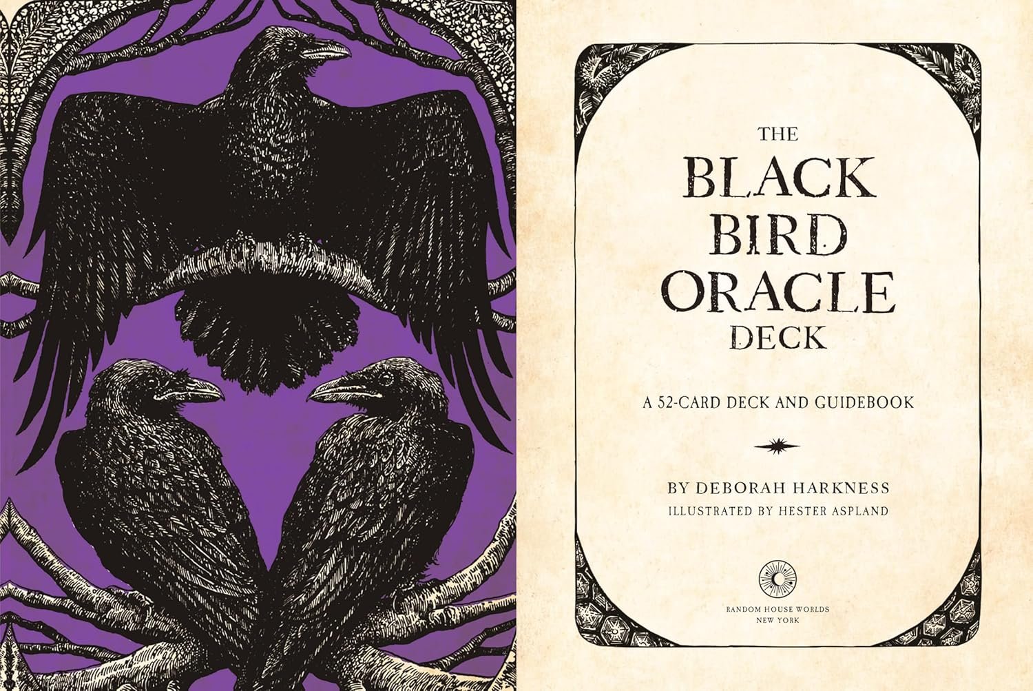 Black Bird Oracle Deck - Image 6