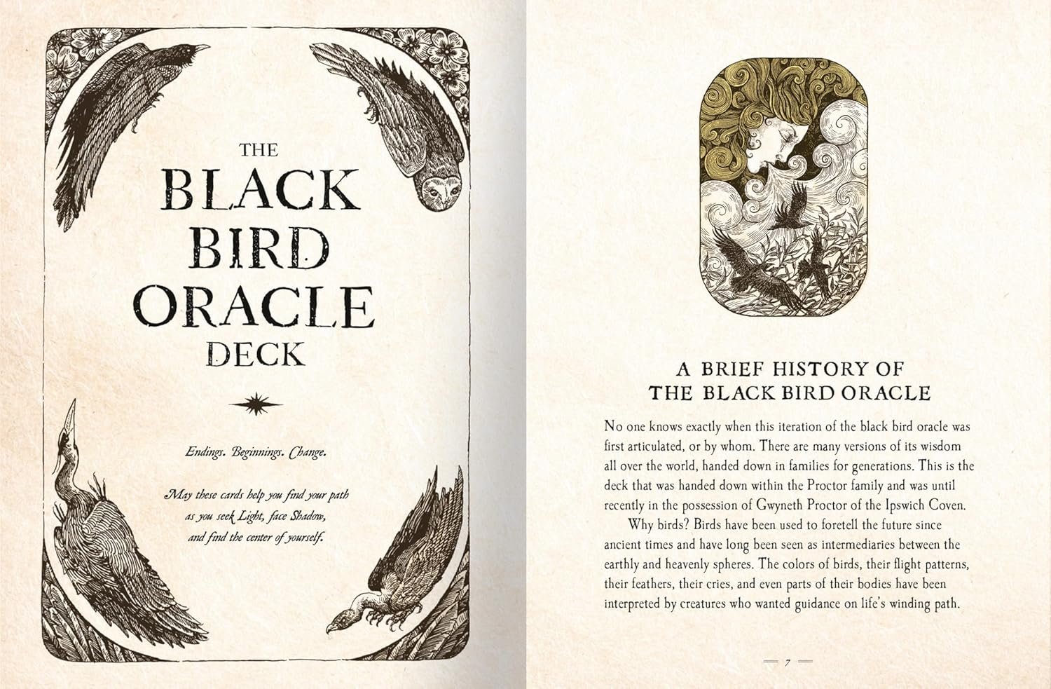 Black Bird Oracle Deck - Image 5