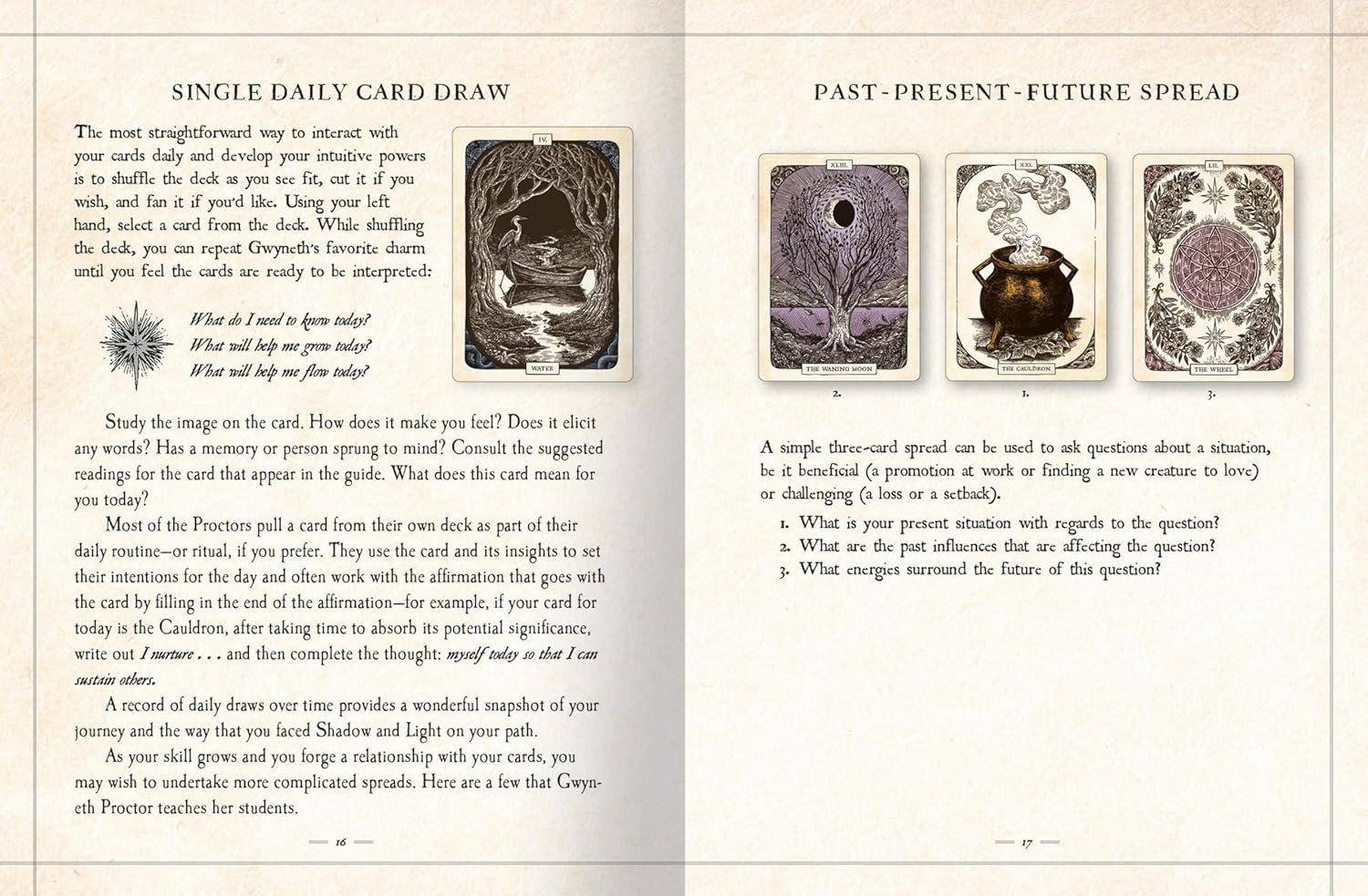 Black Bird Oracle Deck - Image 4