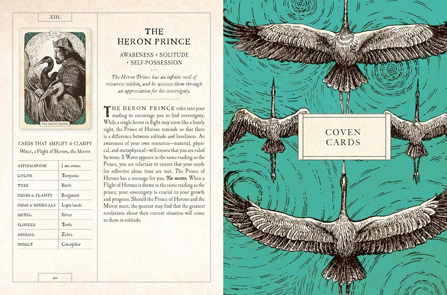 Black Bird Oracle Deck - Image 3