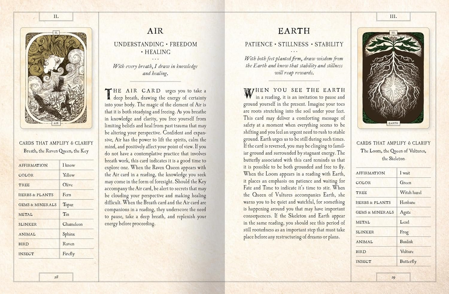 Black Bird Oracle Deck - Image 2